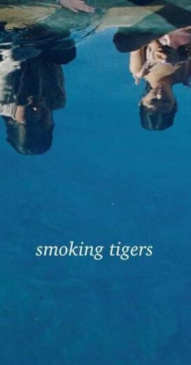 مشاهدة فيلم 2024 Smoking Tigers مترجم