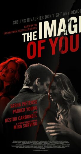 مشاهدة فيلم 2024 The Image of You مترجم