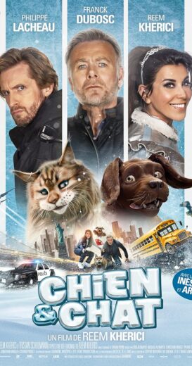 مشاهدة فيلم 2024 Cat and Dog مترجم